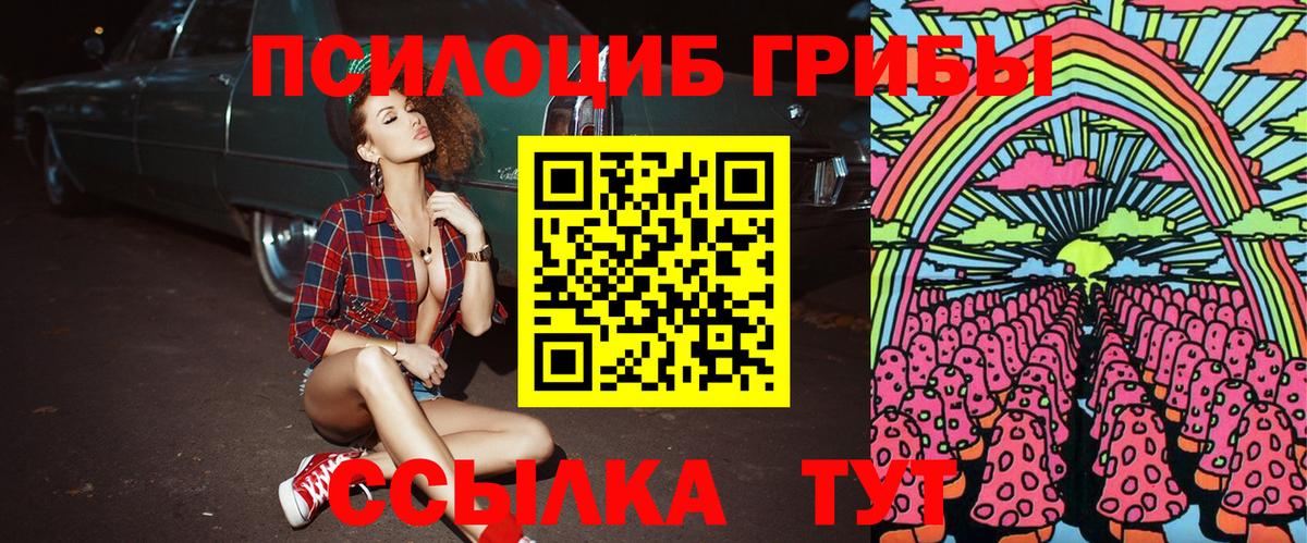 Псилоцибиновые грибы Psilocybine cubensis  Вход с VPN  Саров 